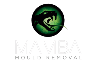 mamba mould removal